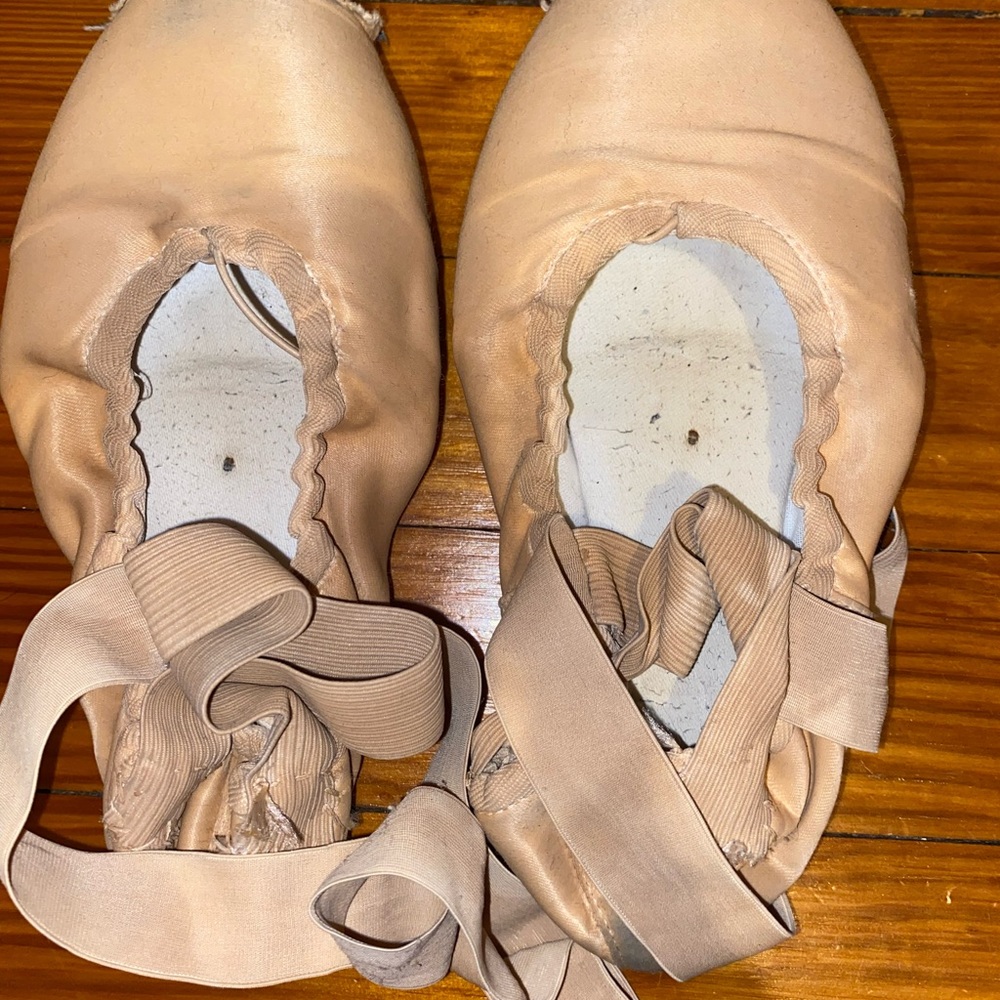 COPY - Nikolay Pointe Shoes